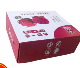 昌盛红心火龙果纸箱包装纸盒子 水果纸盒通用快递打包发货纸箱子