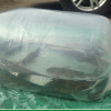厂家热卖透明鱼苗氧气袋 活鱼氧气袋 塑料鱼氧气袋 PE方底氧气袋