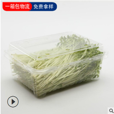 一次性pet透明水果盒长方形蔬菜草莓车厘子包装塑料盒一斤500克装
