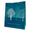 湖南百捷利包装印刷定做定制批发蓝色风景树图案礼袋纸袋包装袋**时尚创意