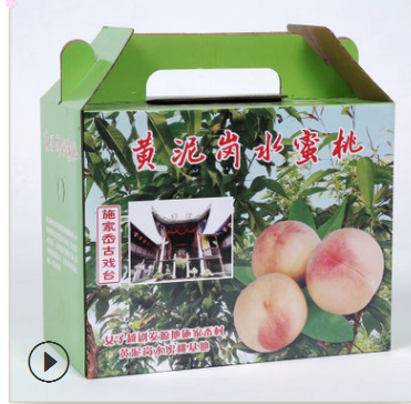 定做水果礼盒支持5斤10斤装 彩色手提式水果三层瓦楞包装盒通用