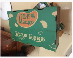 10斤芒果箱