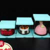 高级定制透明蛋糕盒双层加高塑料pet蛋糕盒三合一手提生日蛋糕盒