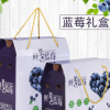 手提纸盒1斤装2斤蓝莓包装纸箱礼品盒蓝莓礼盒现货可定制厂家直销
