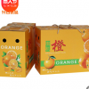 广州纸箱厂家通用水果包装盒橙子包装盒红提包装盒批发定制5-10斤