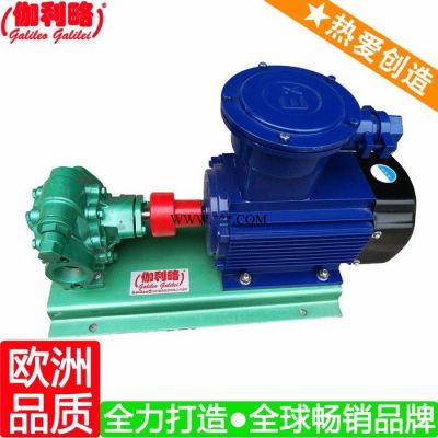 上海kcb-483.3齿轮泵 上海喷码机齿轮泵 上海热熔胶齿轮泵 伽拾