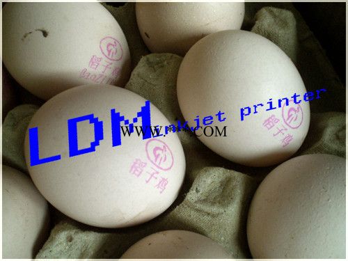 供应LDM鸡蛋喷码机喷码机，鸡蛋喷码机