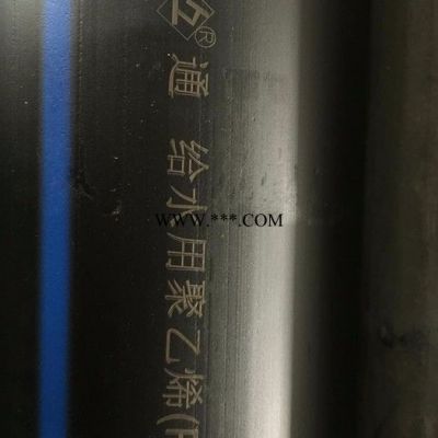 上海莱锡（Rexig）R6300Z 光纤镭射喷码机