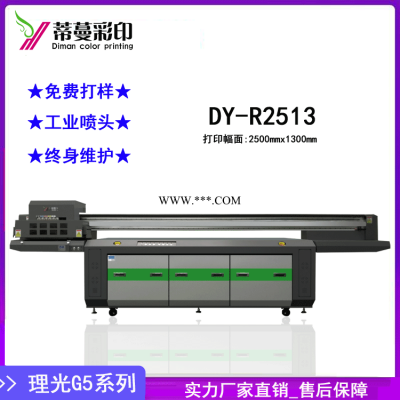 DY-R2513理光uv打印机