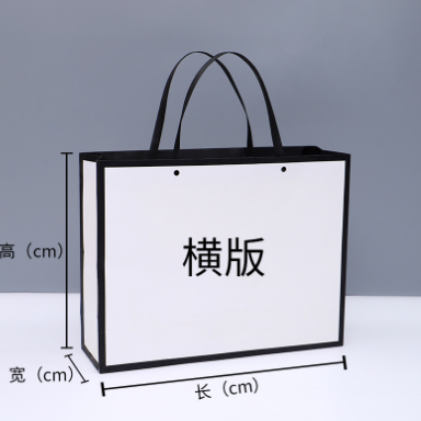 时尚简约购物袋 单色印刷白卡纸服装包装袋定制 广告纸袋可加logo