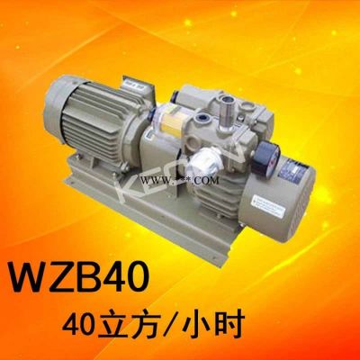 云望真空泵WZB40-P-V/VB用于印刷机/折页机/模切机/送纸机/装订机互换好利旺真空泵KRX6-P-V-03