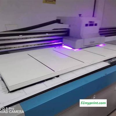 定制PVC衣柜门3D数码UV印刷机 理光2513门业线条打印机