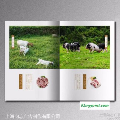供应上海企业产品宣传册 向志从营销角度为您的产品量身订制
