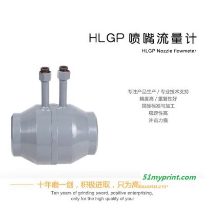华海 HLGP喷嘴流量计厂家直供