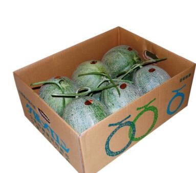 阜阳市太和县纸箱包装农产品包装彩箱纸箱包装工厂水果礼盒