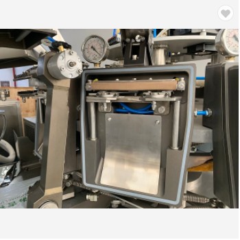 250mm Automatic Electric Rotary Vacuum Packaging Machine Food Vacuum Sealer For Instant Fish Food / 2