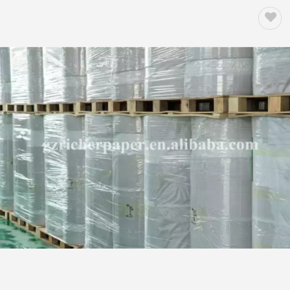 Food Grade PE Coated Kraft Paper / 3
