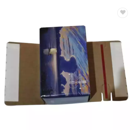 Custom Mailer Express Box Sturdy Cardboard Shipping Boxes Self Stick Zipper Packaging Boxes For Gift / 3