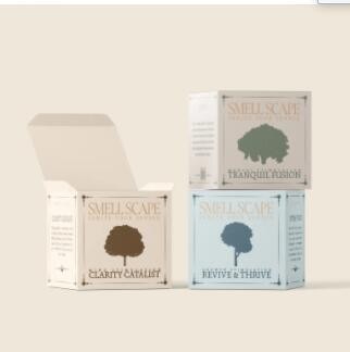 Eco Friendly Skin Care Box Cosmetic Carton Folding Packaging Tuck Top Custom Logo Printed Cosmetic C / 3