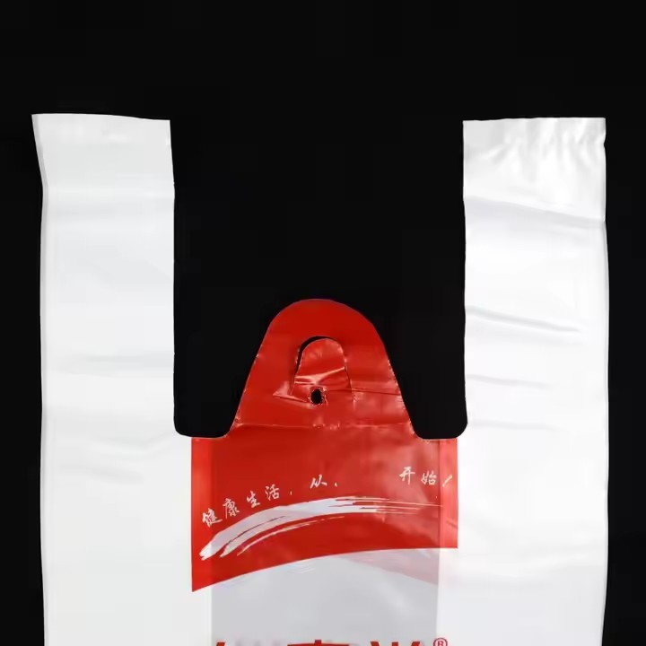 Printed Logo Re-sealable Biodegradable Garment T-shirt Bags Frosted Plastic Packaging Zipper Bags / 2